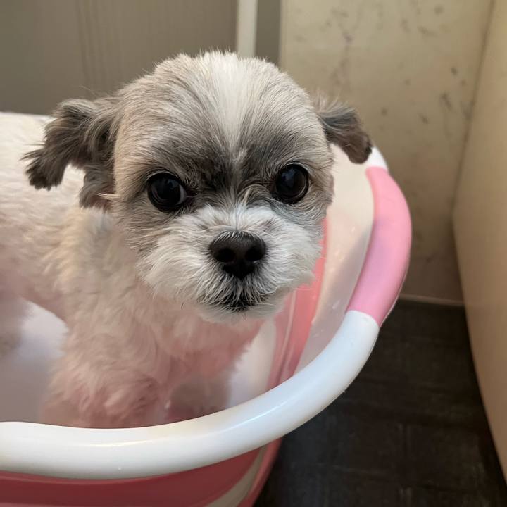 F85e6eae 7cfe 4f0a a245 904841ee2c9c 1738913982755