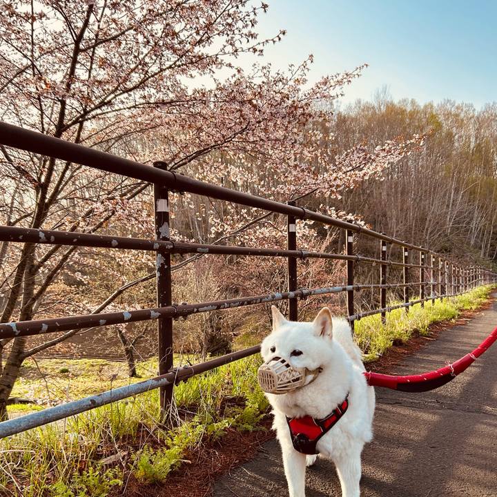 F85e6f50 3b92 4569 bcda af5b5fe684d7 1714079993309