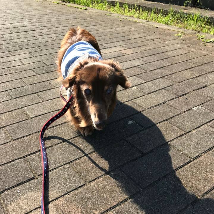 F85e84af f5d3 4b9d 9c0c 22894b2577fb 1528068206688