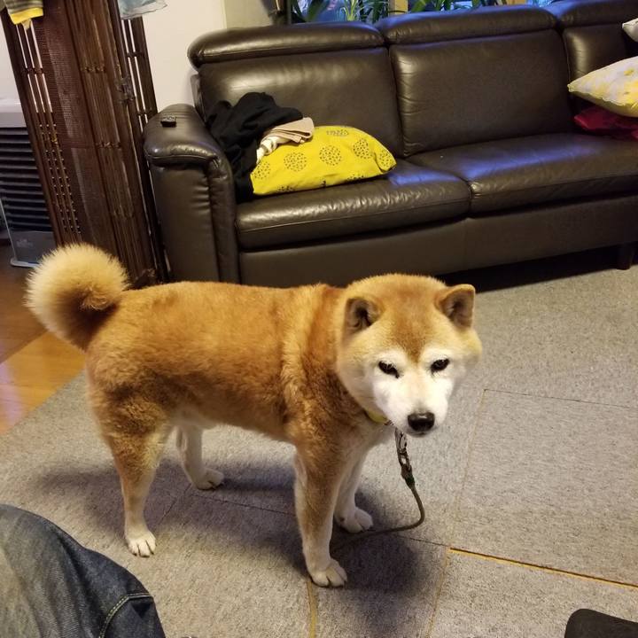 F85eb020 9387 416c 98d0 ef2b241782a7 1682760119279