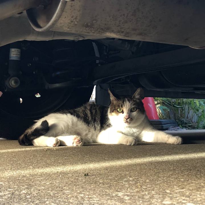 F85eba8c 8cc8 48f5 a983 c8266d2f0e09 1534968599797