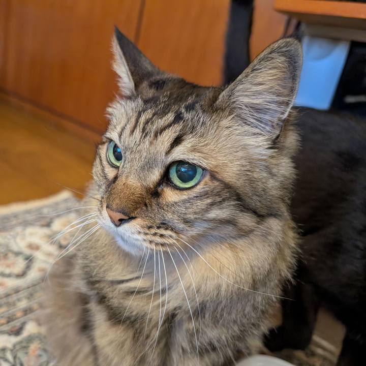 F85ee419 bc8f 40eb 8116 aa57147edca5 1775775612911