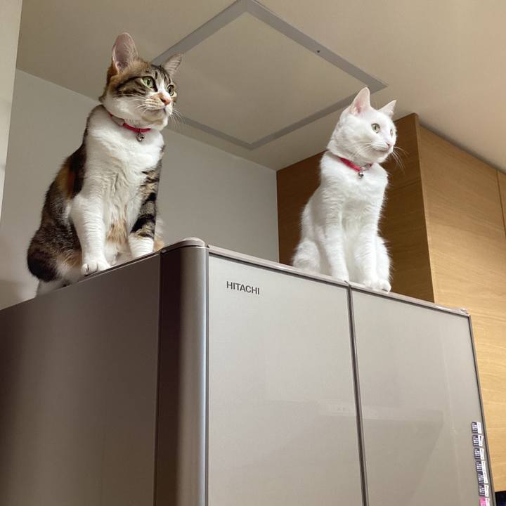 F85ee606 a9fe 49ac 9009 d80709dc7182 1699396756177