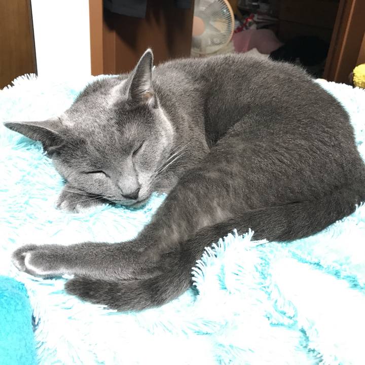 F85ef31a 0efb 4986 b7ef a50bd5965abf 1508739538001