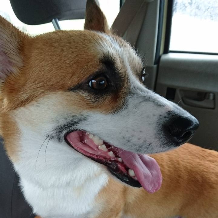 F85f01c9 39c8 452c a229 da501811202f 1602291849744