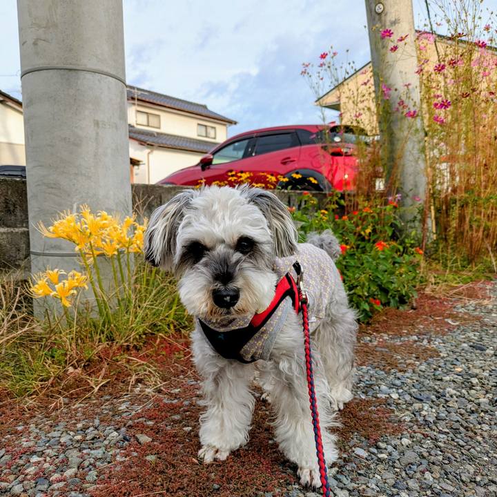 F85f334b 1991 45a9 9c30 225d1d7c6bec 1761779121749