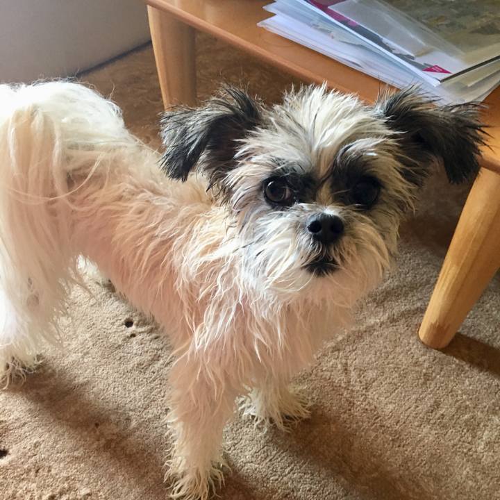 F85f3d21 f3ad 433a 8830 68dd1988a14f 1538101368266