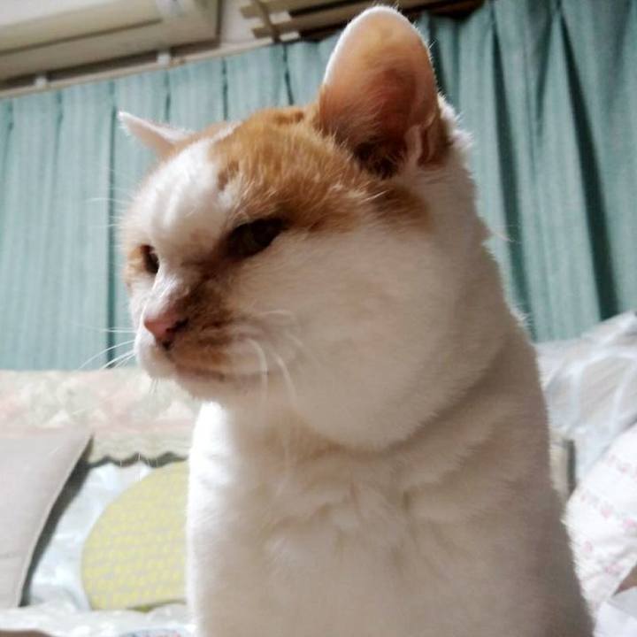 F85f470f 43d8 45e5 9c43 5475182b37e0 1562249592704