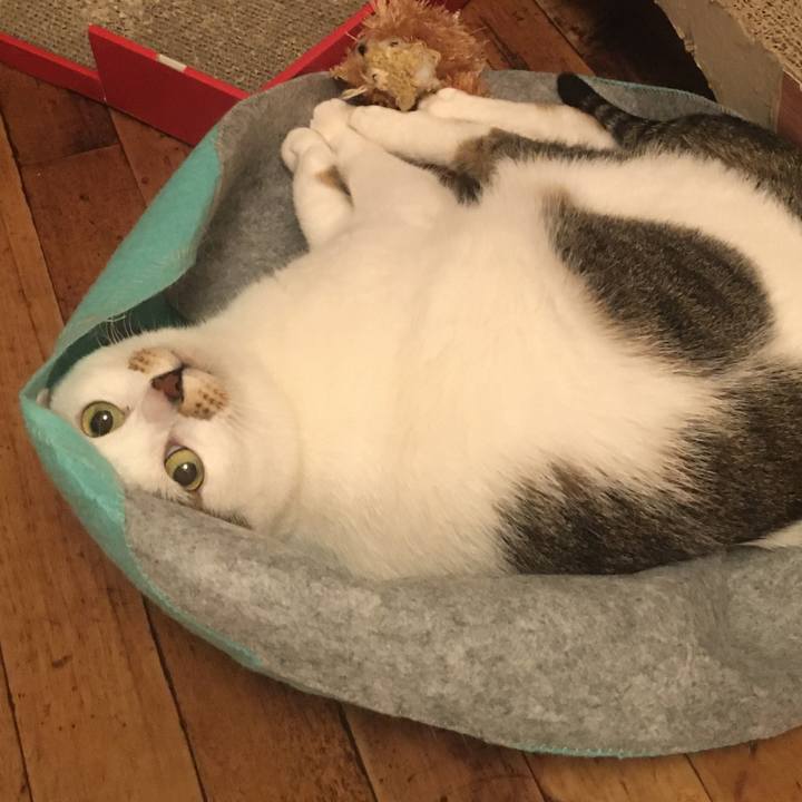 F85f74ae debd 4640 a49b e13aad8e8b44 1588679503189