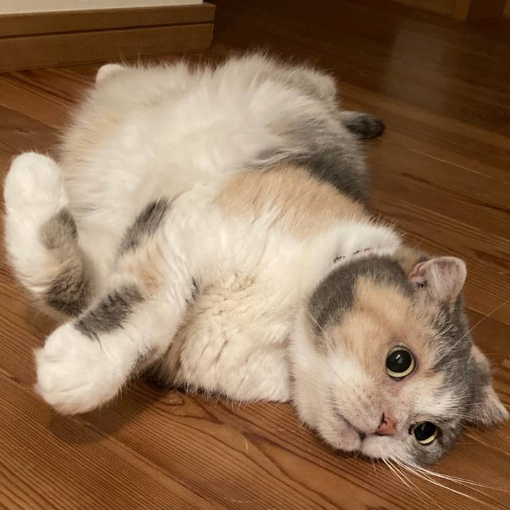 F85f7f7d 52a1 4916 b517 505fedcba489 1659611383530