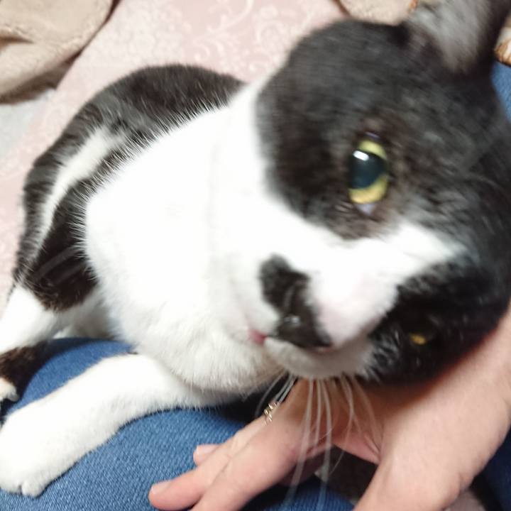 F8601eef 4ac6 4914 a78d 32a150b2861d 1671700110979