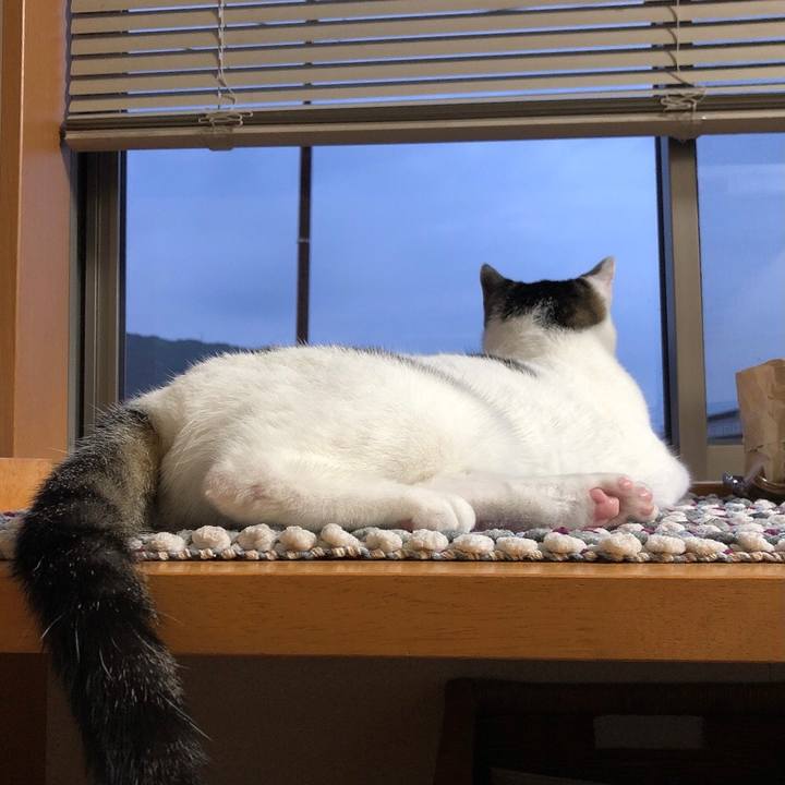 F8608ad5 085e 467c a1d6 7d940cd012ad 1661334884826