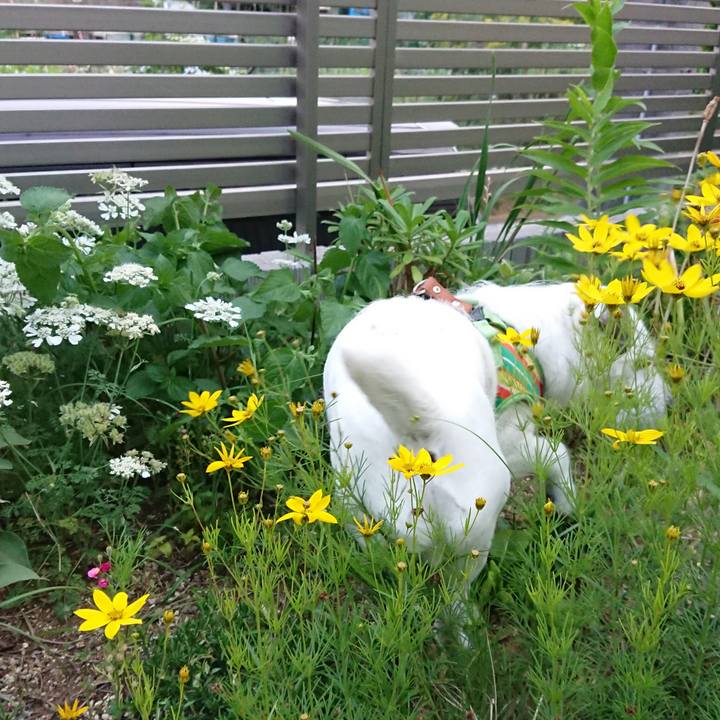 F8610ed3 b3cf 4511 8451 4dcc05fb36a4 1527639107053