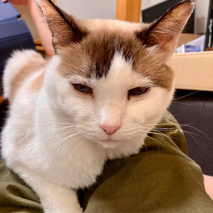 F8611daf 6c35 4414 9331 21c3e4b3d01a 1668066270515