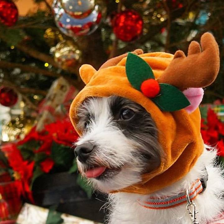 F86180d8 00ae 4566 b421 75c20b92ce2e 1545538358866