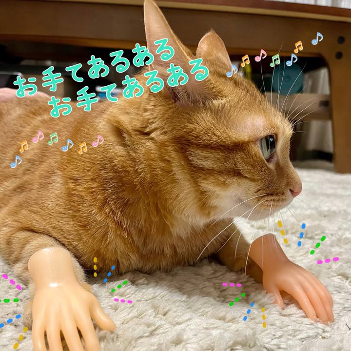 F8618b2b 61a1 4b6c 8e7a e9a48a2959e8 1656591929039