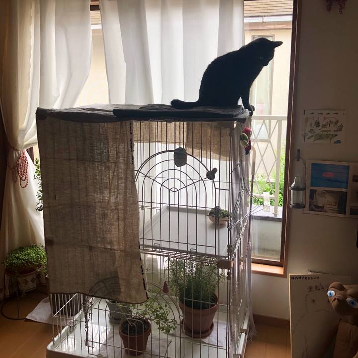 F8623a89 c084 4b9c 887d 1fd0dc2edafe 1570751871986