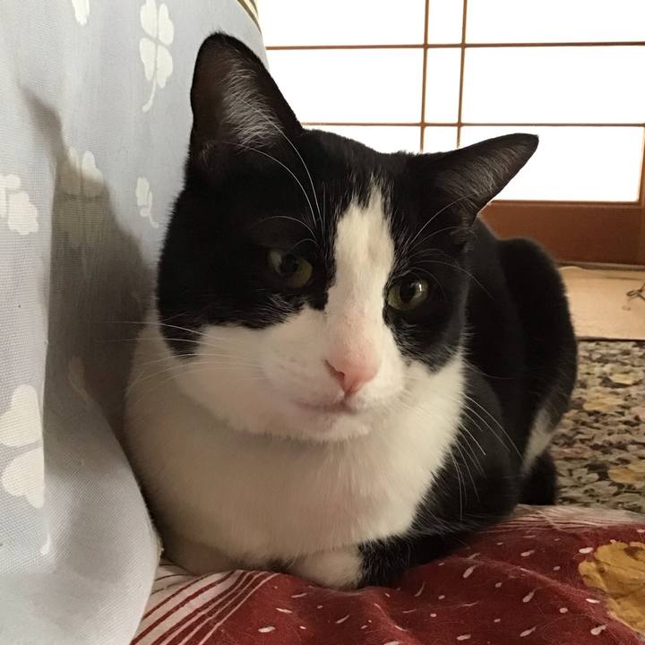 F8623f3d 497e 4ef3 ae93 8d2c6e9e7136 1679370995107