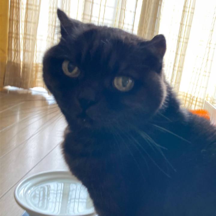 F86258c9 896e 4f0e a36a a35b502a8781 1637461146927