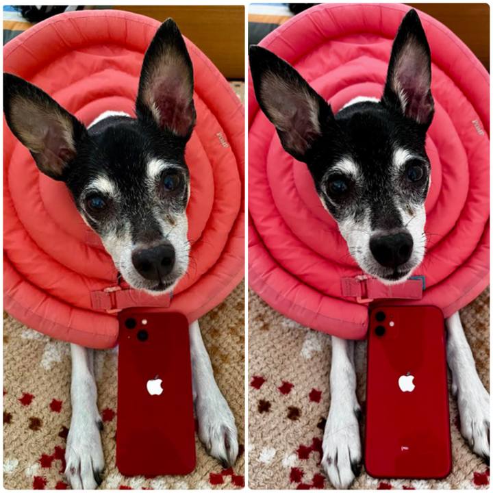 F8625c22 f8af 4c7f 9bb6 b5ef15453fd7 1634452611025