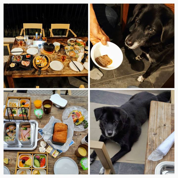 F862863b 8efc 45ce a544 4a87dbea4810 1760231808635