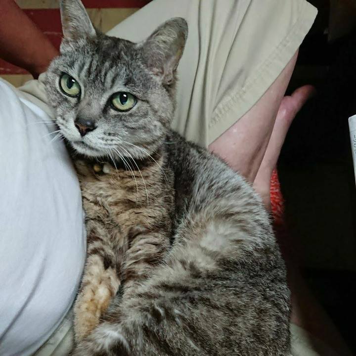 F862b7a3 82f1 4612 b96d 35c62f07fdd6 1563916206031