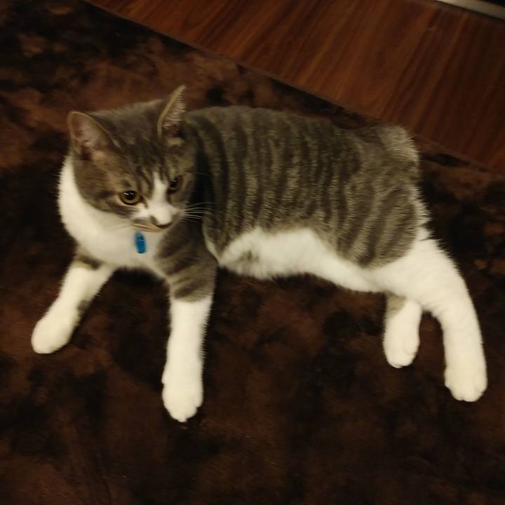 F8631b3f 6bce 4033 8c1d e1922476c072 1576334002326