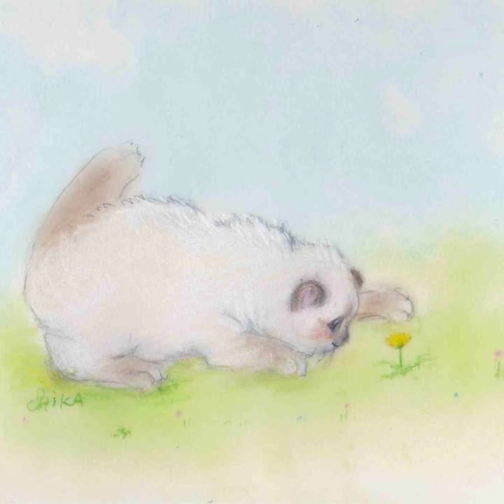 F8632457 8806 4c80 b29e 2279ce2e3887 1583468735546