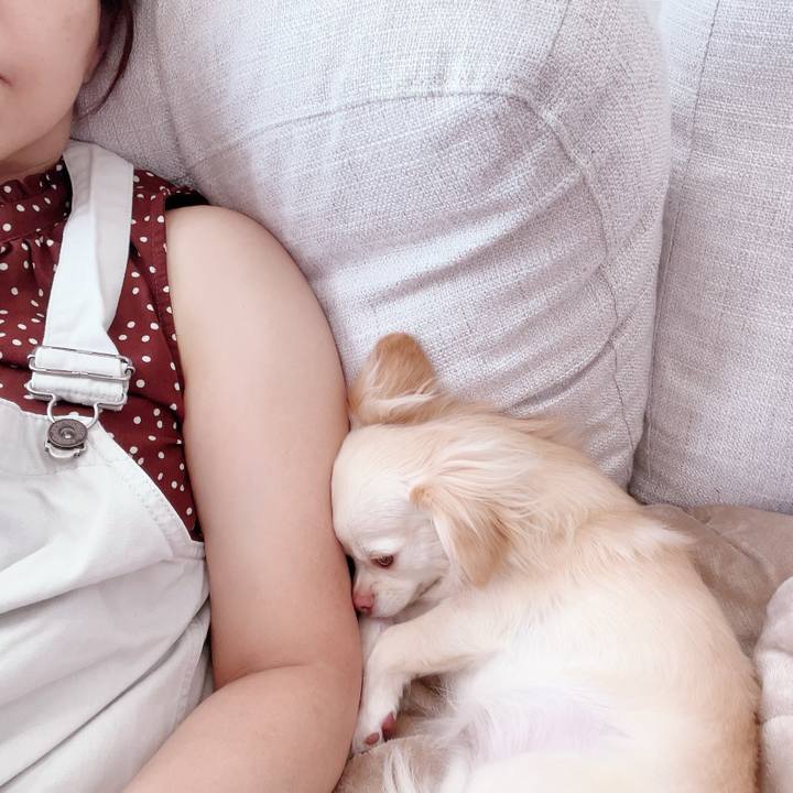 F8633b8c 3b62 4a2b b9f3 02e8747e73af 1693280698683