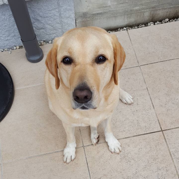 F8633e60 c148 4da2 bf76 f83868c8f801 1508462517913