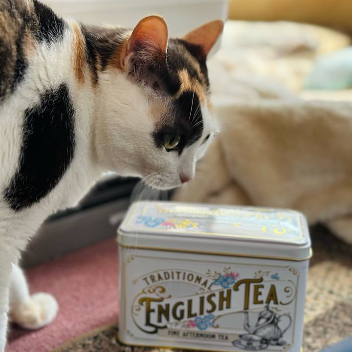 F863458c faf2 4cbd 8ac4 d77e064fe90e 1717033504856