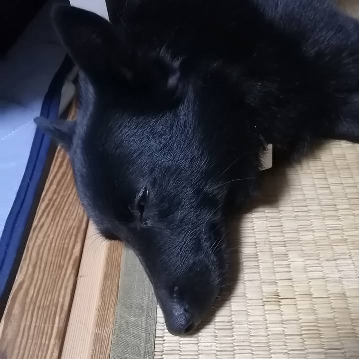 F8635f4d 21f0 4ab6 876f 1ed51235bc12 1623414015220