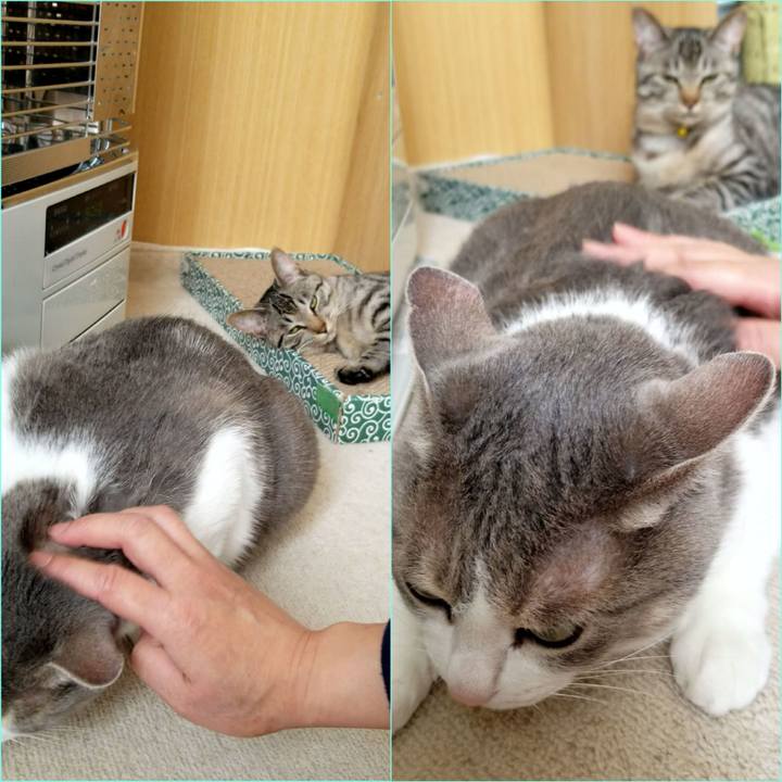 F86392a4 d8c6 4b64 8b9b 95547cda0841 1678292123936