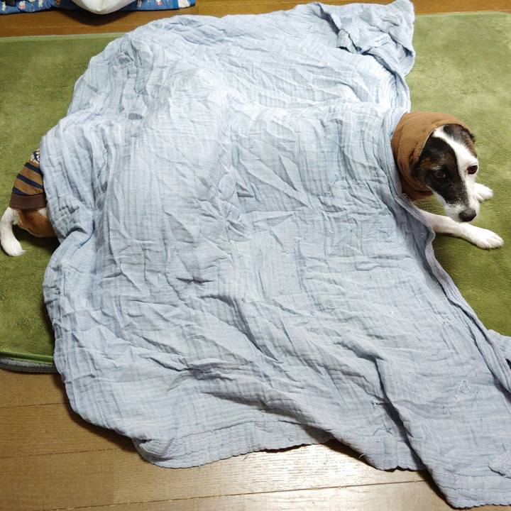 F8639874 c89b 4759 ba4c 476827bb9953 1732585999223