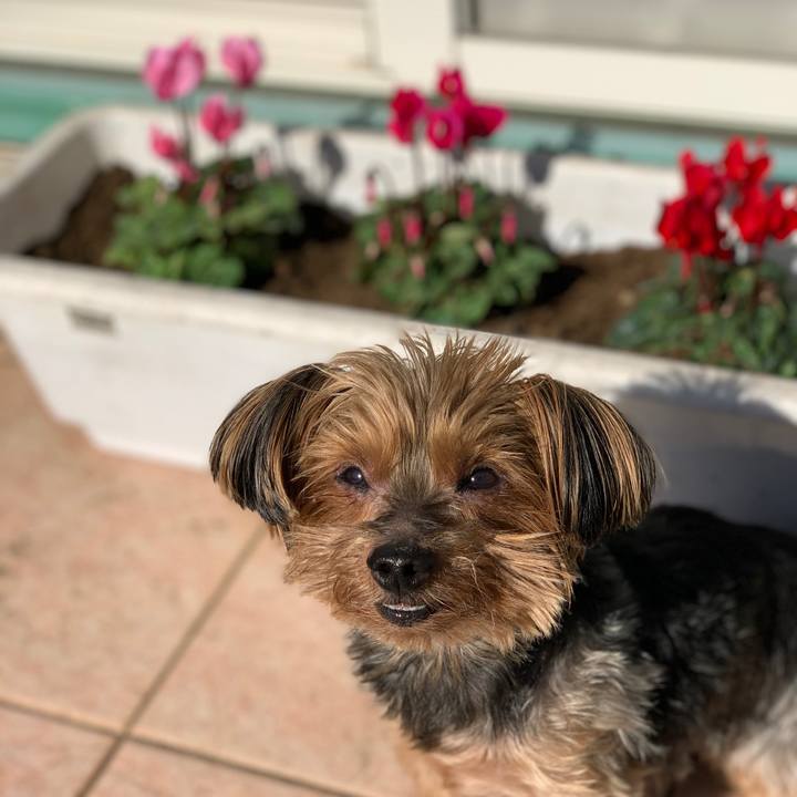 F863c785 aea3 480b 99f4 c7c1942e17ff 1605408932627