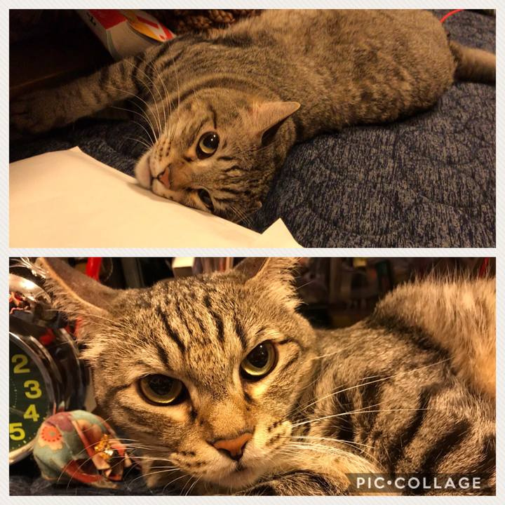 F863c99e 9eed 43e9 8ef0 1426fa5141f3 1534417918864