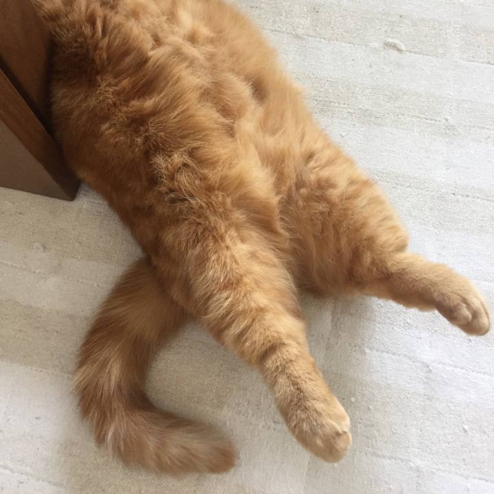 F86435d0 8676 447c b67f e4277d779d0e 1558877091967