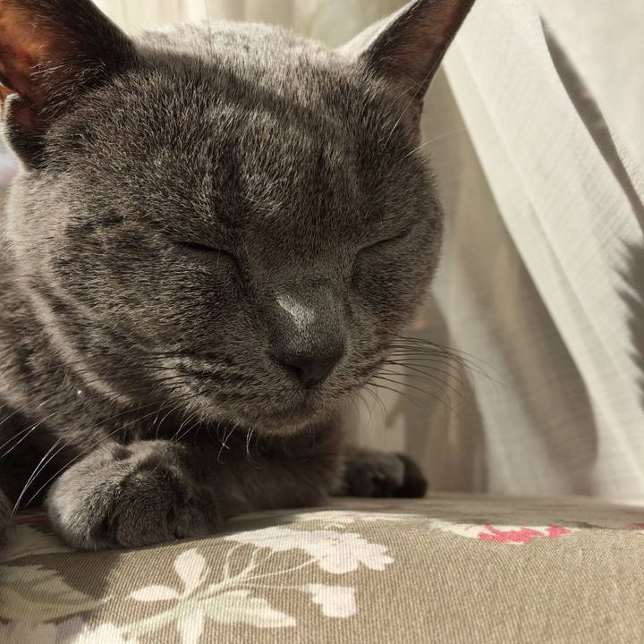 F864384f 1f77 422f 949e 47619511f066 1546476174508