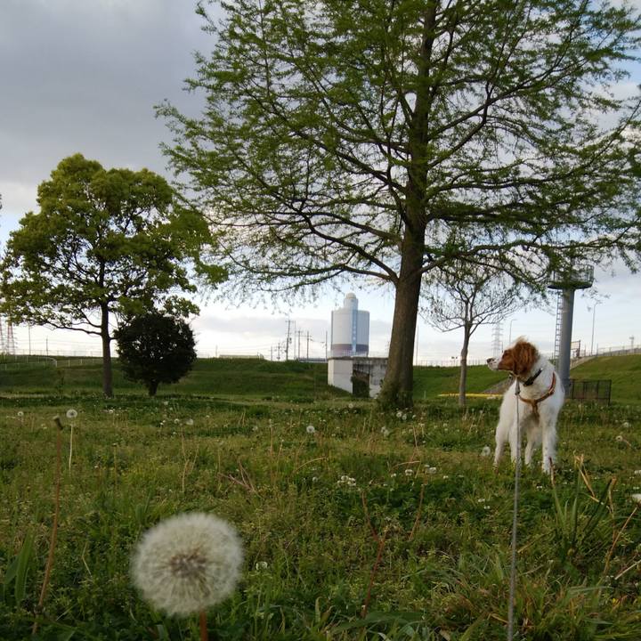 F8646420 74ec 44ca 82ab c146f2584198 1523794513345