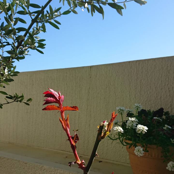 F8648028 2550 41c8 b7ca 0a3de0c5b9e3 1521244828959