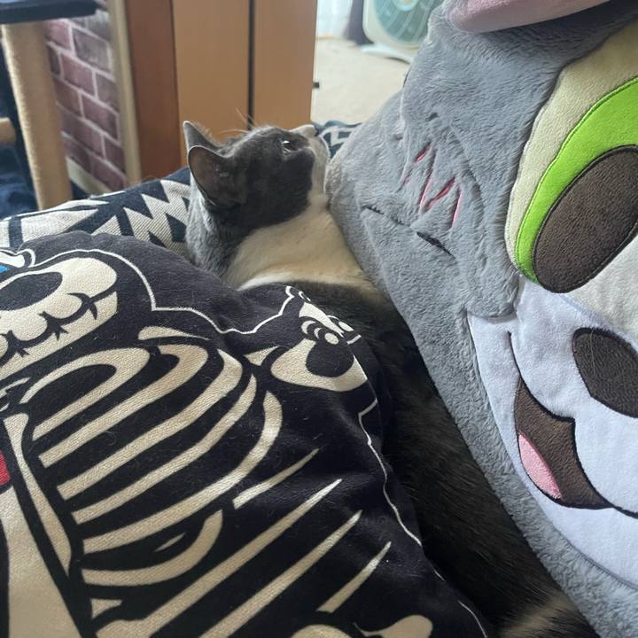 F8648d45 2a1b 4d28 92e3 2d1b0701deed 1715673940384