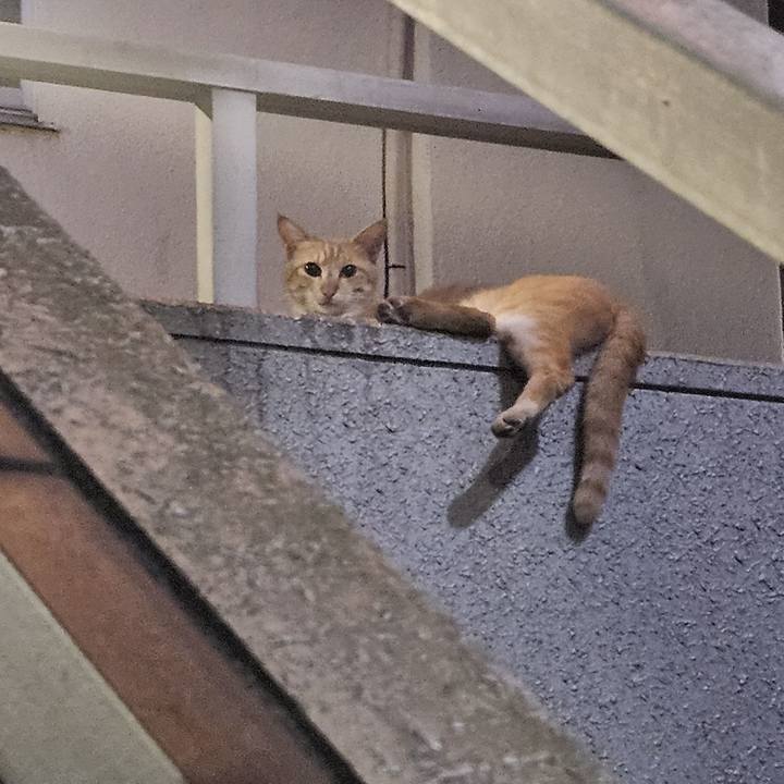 F864e562 43ef 4735 ad76 460477a4919b 1718281946474