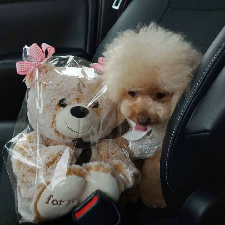 F8650cf2 30aa 4735 bec0 9787eaaa57c5 1565610456523