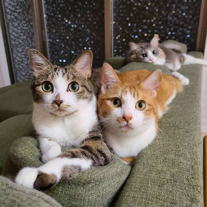 F8653ca6 66a4 499d b088 4c95fdb4318a 1601562181688