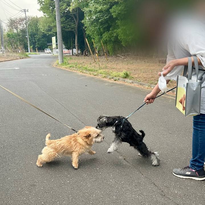 F86545bc 8e54 4f8d 858b ec5208c97ae9 1713711214848