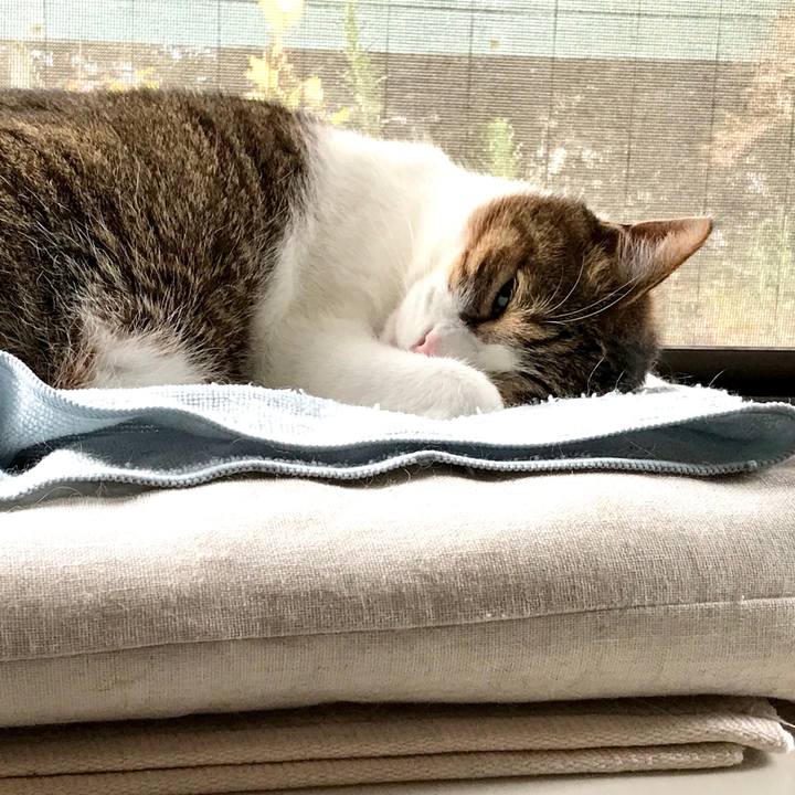 F8656859 b5ae 4a7c 9d32 12c6f653fb8e 1582343774903