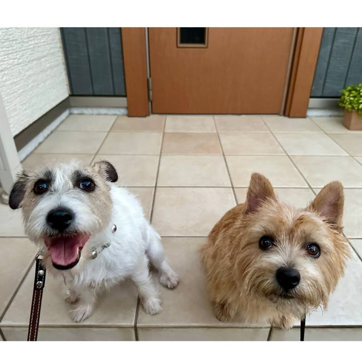 F865929f 626d 4805 ae8a 6cf80c00a08b 1762002911023