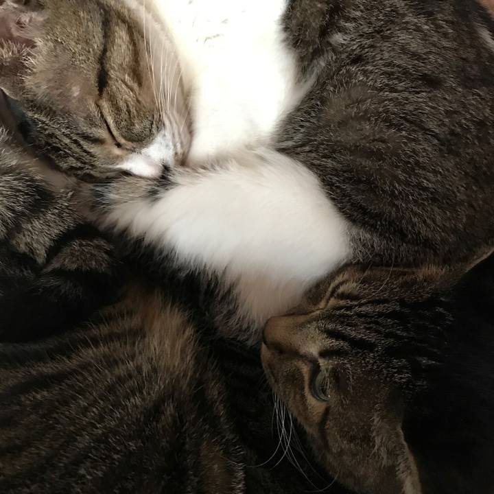 F865943a bf01 47a6 b776 043f814befbc 1507942460580