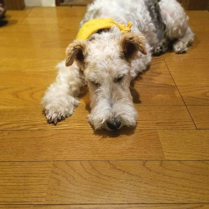 F865c714 6b46 43c9 b2d6 96101d0cd401 1729601635468