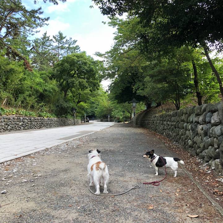 F865cbd6 a1db 475c 96ad 51d545e8cbe5 1532303582293